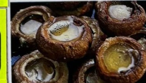 Field Mushrooms in Ketsi