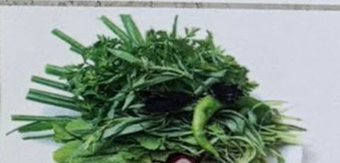 Herb Assortment