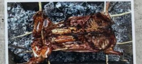 Roast Rabbit